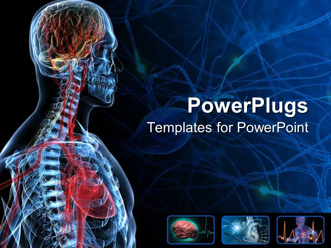 PowerPoint Template the anatomy of a human with bluish background (20116)