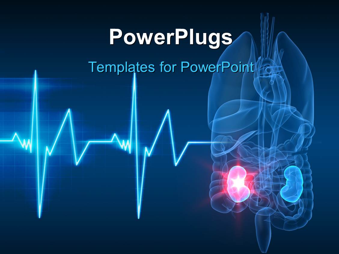 Ppt Templates Free Download Kidney | powerpoint template anatomy of human organs with kidney Ppt Templates Free Download Kidney | powerpoint template anatomy of human organs with kidney