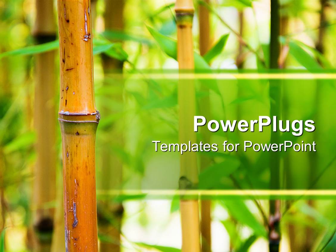 Powerpoint Template Bamboo Canes With Green Leaves In A Nature Background 2841 Bamboo Powerpoint Template