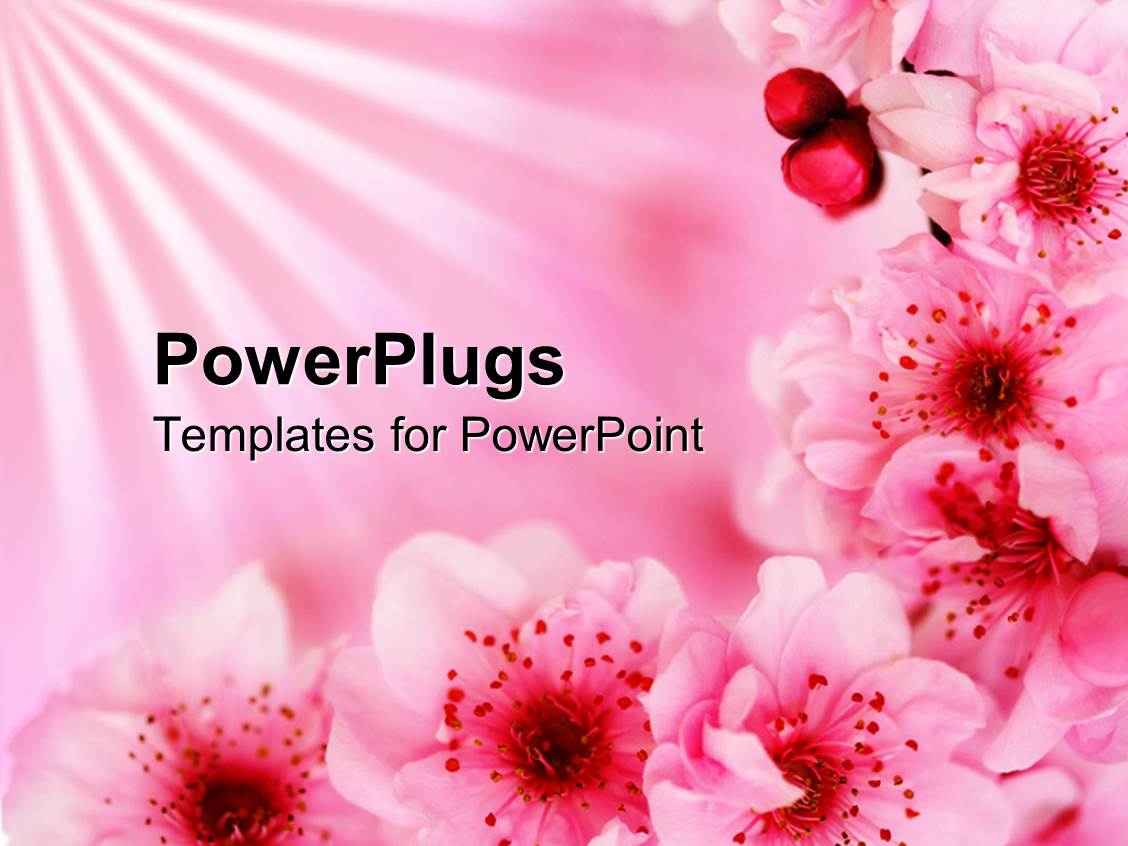 cherry blossom powerpoint template