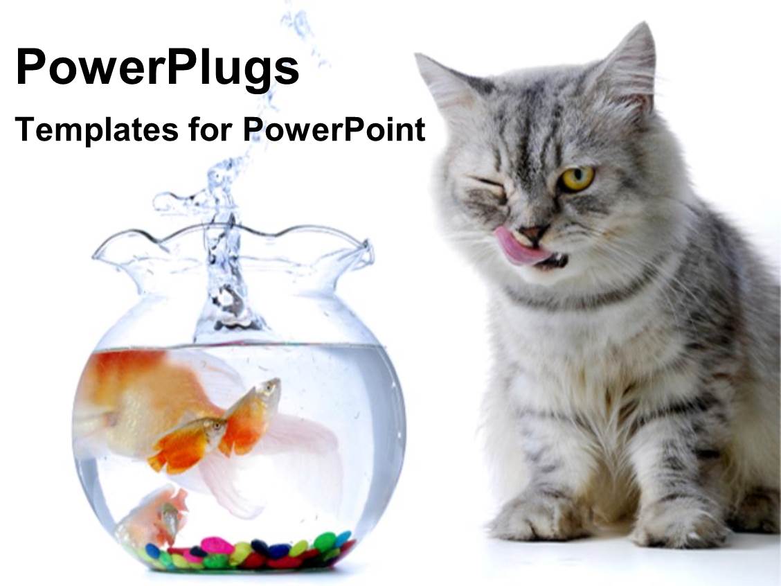 Powerpoint Template Cat Watching Fish With Tongue Out In Aquarium With Water Splashing Out 1747 Cat Powerpoint Template