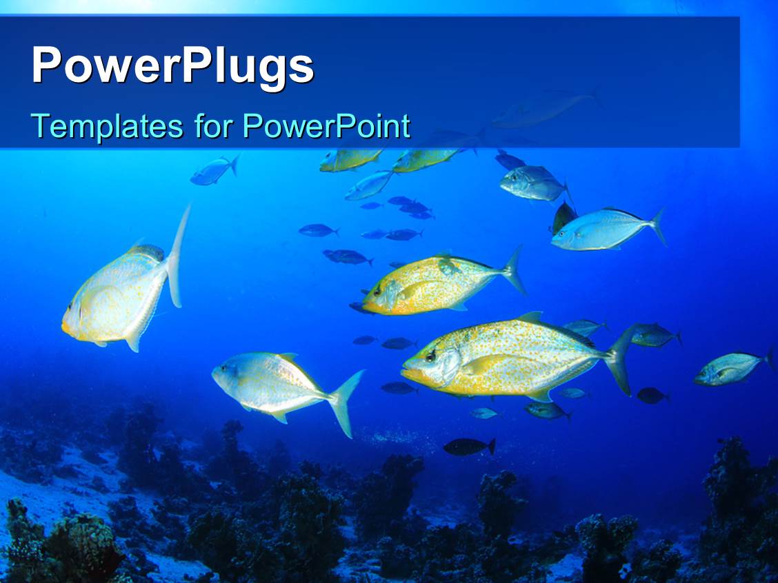 Fish Powerpoint Template Powerpoint Template Colorful Fishes Swimming In The Water 12374 Fish Powerpoint Template Powerpoint Template Colorful Fishes Swimming In The Water 12374
