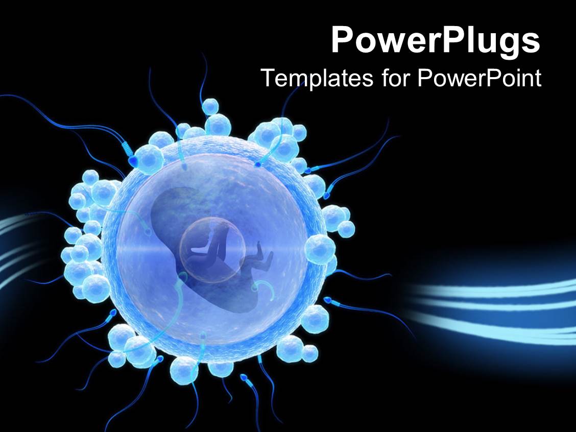 Powerpoint Template Isolated Egg Cell With Embryo On Black Background 16757 Cell Powerpoint Template