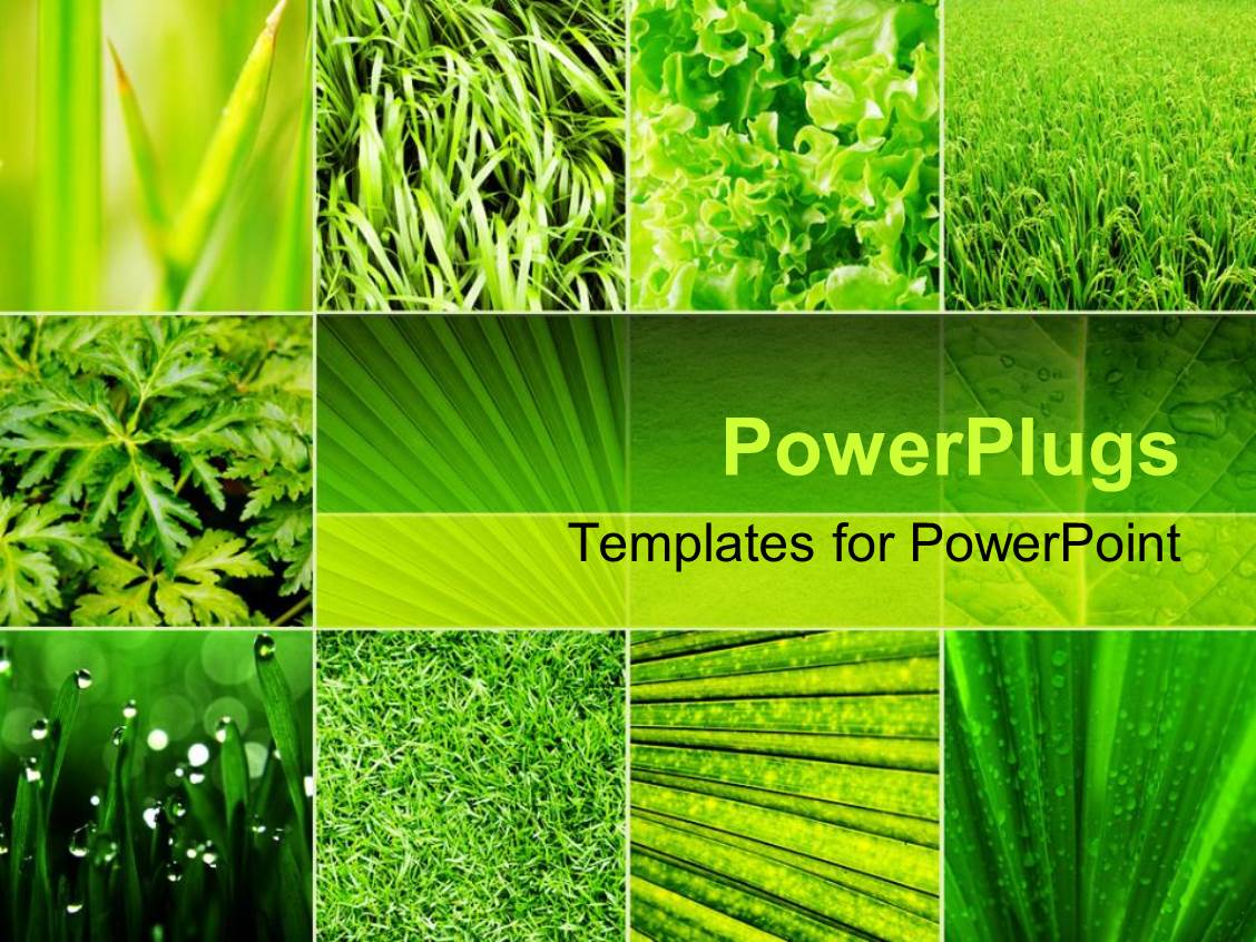 Powerpoint Template Lots Of Tiles Showing Diffeent Green Plants With Different Leaf Shapes 18871 Agriculture Powerpoint Templates