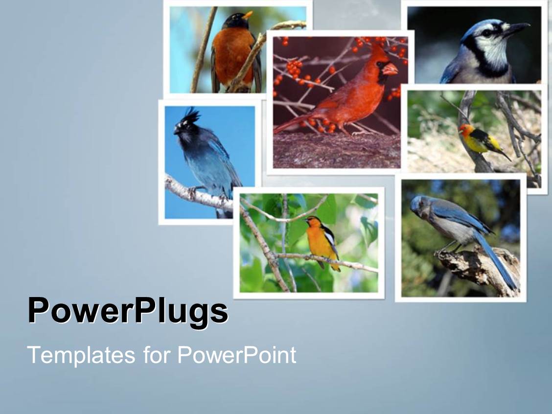 PPT Template - he words Get Help Here symbolizing the need to offer support and answers to customers asking questi - Title Slide