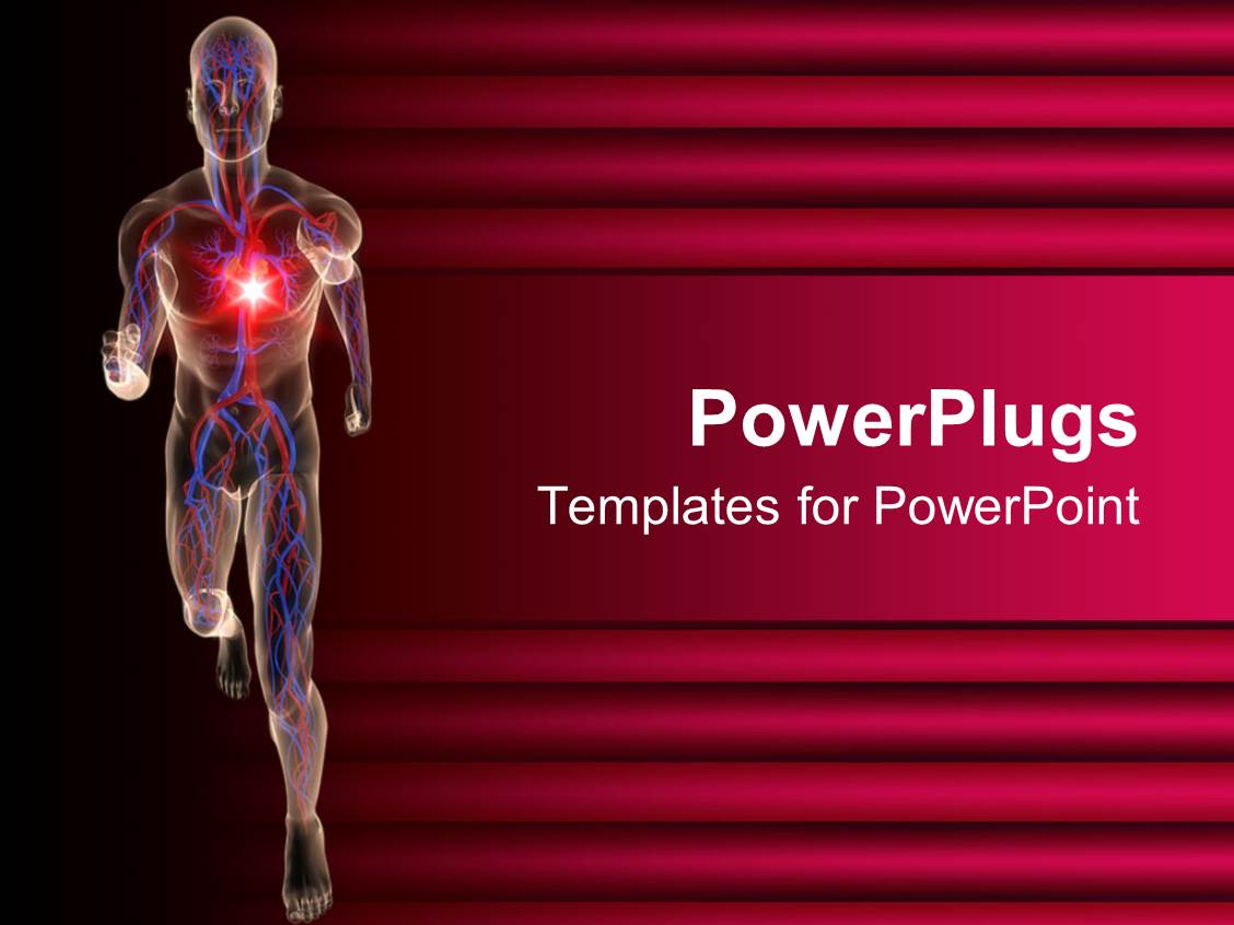 cardiac ppt template powerpoint template transparent 3d depiction of a human cardiac ppt template powerpoint template transparent 3d depiction of a human