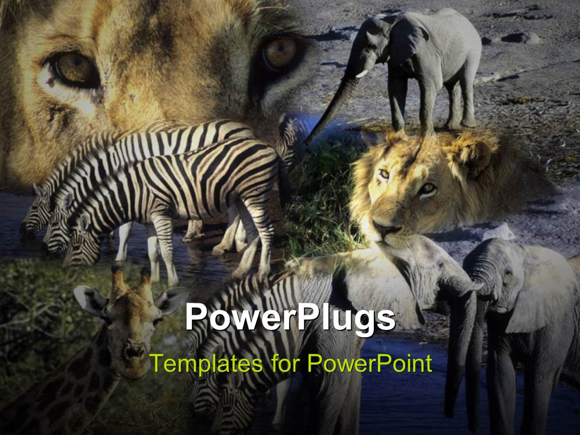 PowerPoint Template various animals in a jungle with grayish background (31326)