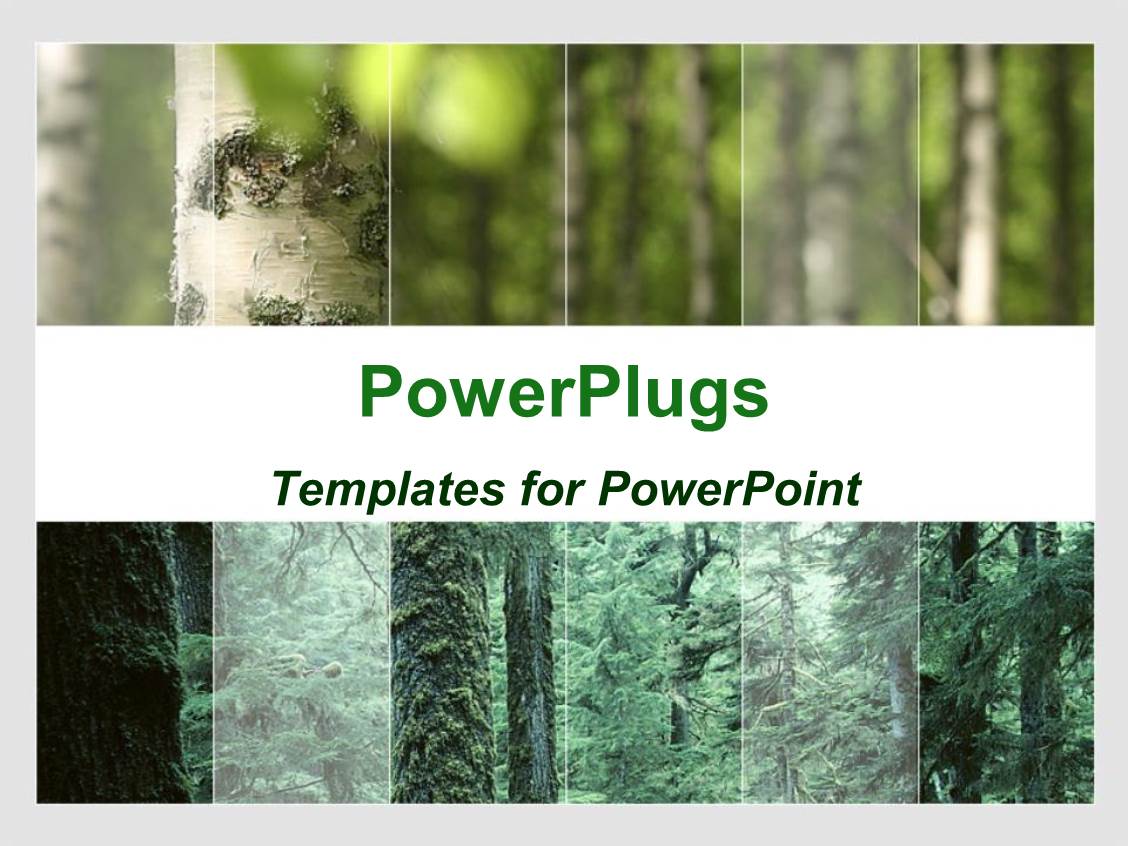 forest powerpoint template