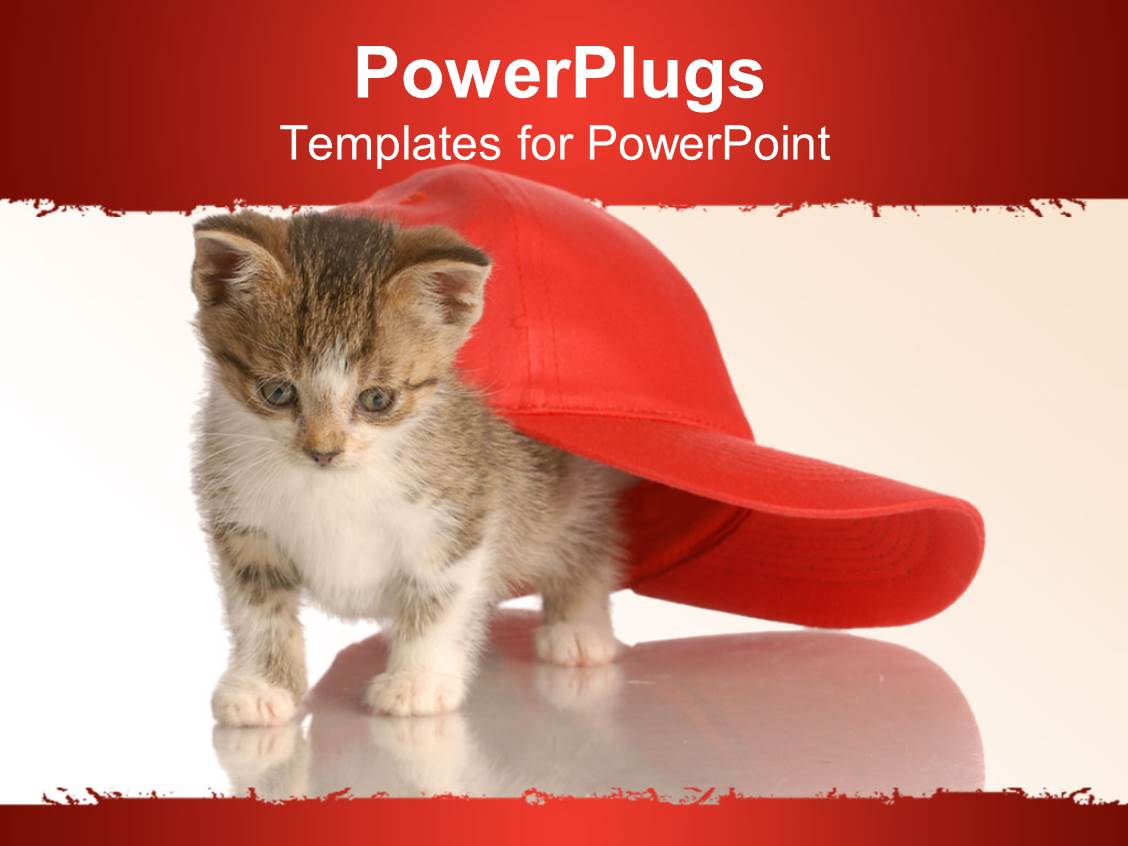 Powerpoint Template White And Red Background With Cat Under Red Face Cap 1817 Cat Powerpoint Template