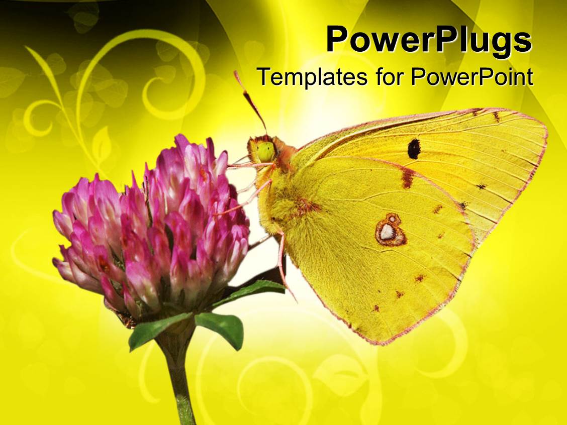 Moving Butterfly Animation For Powerpoint Www Pixshark Com Images Galleries With A Bite Moving Butterfly For Powerpoint