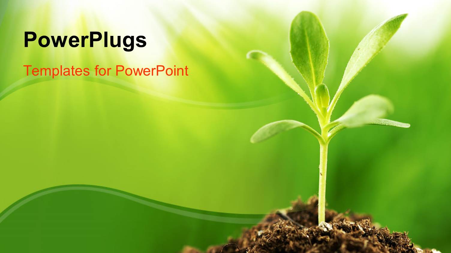 PowerPoint Template Young green plant growing in sunshine (32152)