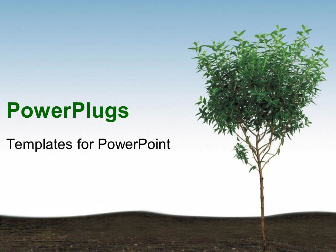 tree powerpoint background